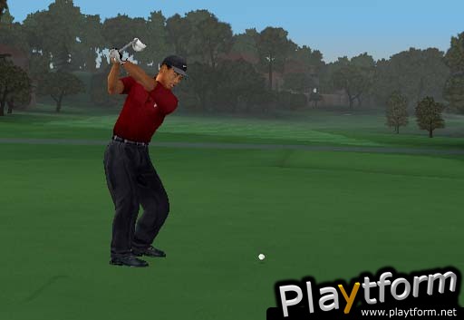 Tiger Woods PGA Tour 2002 (PlayStation 2)