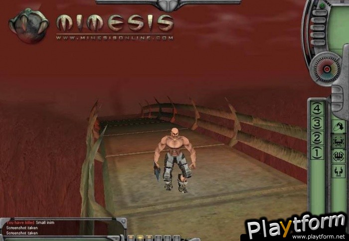 Mimesis Online (PC)