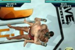 Ultimate Fighting Championship: Throwdown (GameCube)