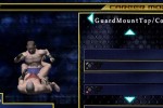 Ultimate Fighting Championship: Throwdown (GameCube)