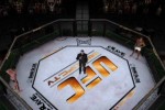 Ultimate Fighting Championship: Throwdown (GameCube)