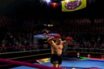 Mike Tyson Heavyweight Boxing (PlayStation 2)