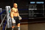 Mike Tyson Heavyweight Boxing (PlayStation 2)