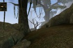 The Elder Scrolls III: Morrowind (Xbox)