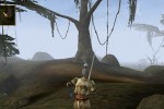 The Elder Scrolls III: Morrowind (Xbox)