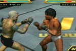 Ultimate Fighting Championship: Throwdown (PlayStation 2)