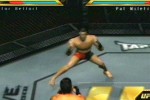 Ultimate Fighting Championship: Throwdown (PlayStation 2)