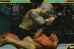 Ultimate Fighting Championship: Throwdown (PlayStation 2)