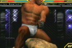 Ultimate Fighting Championship: Throwdown (PlayStation 2)