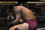 Ultimate Fighting Championship: Throwdown (PlayStation 2)