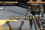 Ultimate Fighting Championship: Throwdown (PlayStation 2)