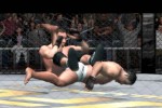 Ultimate Fighting Championship: Throwdown (PlayStation 2)