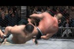 Ultimate Fighting Championship: Throwdown (PlayStation 2)