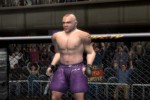 Ultimate Fighting Championship: Throwdown (PlayStation 2)