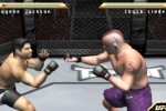 Ultimate Fighting Championship: Throwdown (PlayStation 2)