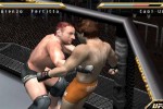 Ultimate Fighting Championship: Throwdown (PlayStation 2)