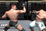 Ultimate Fighting Championship: Throwdown (PlayStation 2)