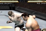 Ultimate Fighting Championship: Throwdown (PlayStation 2)