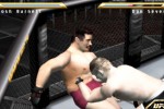 Ultimate Fighting Championship: Throwdown (PlayStation 2)