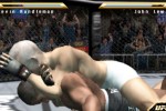 Ultimate Fighting Championship: Throwdown (PlayStation 2)