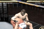 Ultimate Fighting Championship: Throwdown (PlayStation 2)