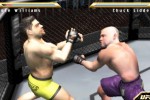 Ultimate Fighting Championship: Throwdown (PlayStation 2)