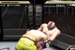 Ultimate Fighting Championship: Throwdown (PlayStation 2)