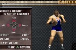 Ultimate Fighting Championship: Throwdown (PlayStation 2)