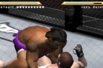 Ultimate Fighting Championship: Throwdown (PlayStation 2)