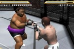 Ultimate Fighting Championship: Throwdown (PlayStation 2)