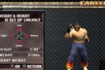 Ultimate Fighting Championship: Throwdown (PlayStation 2)