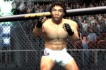 Ultimate Fighting Championship: Throwdown (PlayStation 2)