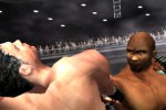 Ultimate Fighting Championship: Throwdown (PlayStation 2)