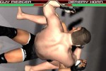 Ultimate Fighting Championship: Throwdown (PlayStation 2)