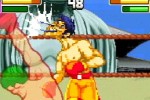 Punch King (Game Boy Advance)