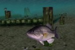 Top Angler (PlayStation 2)