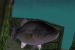 Top Angler (PlayStation 2)