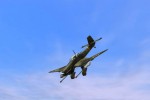 WarBirds III (PC)