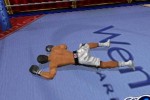 Knockout Kings 2002 (PlayStation 2)