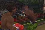 Knockout Kings 2002 (Xbox)