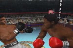 Knockout Kings 2002 (Xbox)