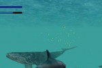 Ecco the Dolphin: Defender of the Future (PlayStation 2)