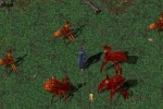 Ultima Online: Lord Blackthorn's Revenge (PC)