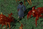 Ultima Online: Lord Blackthorn's Revenge (PC)