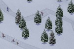 Ski Park Manager (PC)