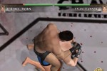 Ultimate Fighting Championship: Tapout (Xbox)