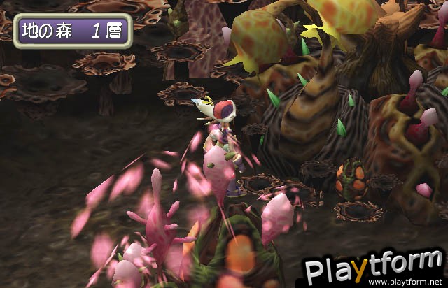 Jade Cocoon 2 (PlayStation 2)