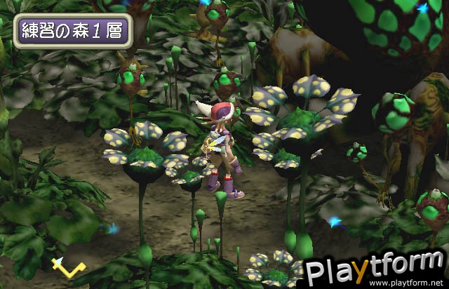 Jade Cocoon 2 (PlayStation 2)