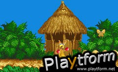 KAO the Kangaroo (Game Boy Advance)