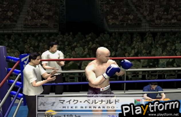 K-1 World Grand Prix 2001 (PlayStation 2)